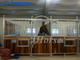 El mueble prefabricado fácil substituye el desplazamiento del caballo europeo que la parada afronta los paneles
