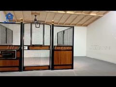 Protección definitiva para el equitación