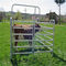 Los paneles portátiles de las ovejas/el ganado de acero cercan los paneles redondos del corral de la cerca de la pluma de los paneles