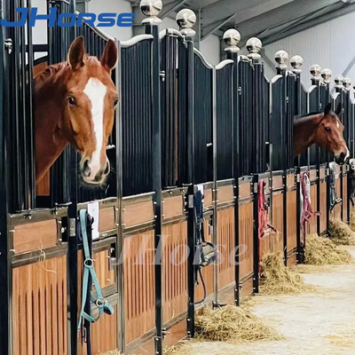 La granja que monta el caballo europeo atasca a la asamblea equina de encargo de la altura de los graneros los 2.2m fácilmente