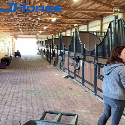 El alto establo resistente del caballo artesona frentes de la parada del caballo con los tubos de acero más ventilación