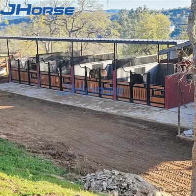 La diversa parada resistente del caballo afronta el polvo negro cubierto