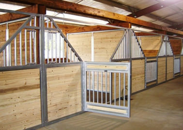 equipo estable modificado para requisitos particulares 50m m del caballo con el establo de acero galvanizado del tubo