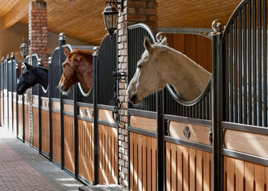 El caballo europeo de la parte posterior interior del sólido atasca 12 altura de pies de longitud 220cm
