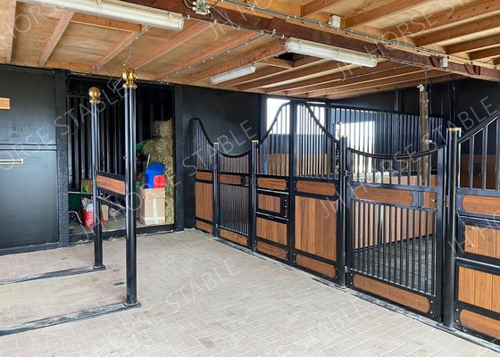 El caballo europeo resistente de madera de agua de la estructura del metal atasca resistente