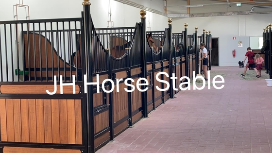 El granero prefabricado parada del caballo del metal de 10 pies afronta el material de construcción modular